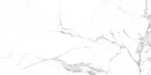 Керамічна плитка для підлоги та стін TEO CERAMICS Alcora Grey F P 600x1200x8 R Satin 1 гатунок  фото